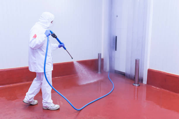 Best Paint Preparation  in Lewiston, CA